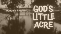 God_s_Little_Acre