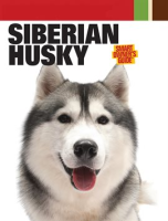 Siberian_Husky