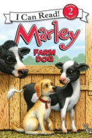 Marley__farm_dog