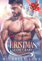 Christmas_Secret_Baby