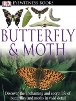 Butterfly_and_Moth