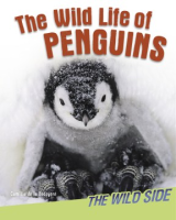 The_wild_life_of_penguins