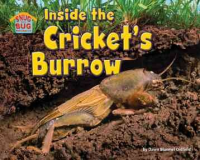 Inside_the_cricket_s_burrow