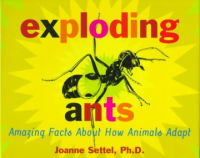 Exploding_Ants__Amazing_Facts_about_How_Animals_Adapt