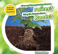 __Por_qu___las_plantas_tienen_ra__ces____Why_Do_Plants_Have_Roots_