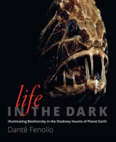 Life_in_the_Dark