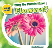 Why_Do_Plants_Have_Flowers_