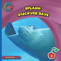 Discover_Rays