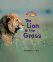 The_lion_in_the_grass
