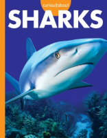 Curious_about_sharks
