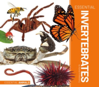 Essential_invertebrates