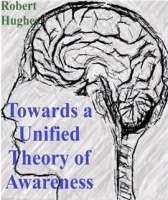 Towards_a_Unified_Theory_of_Awareness