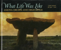What_life_was_like_among_druids_and_high_kings