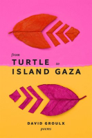 From_Turtle_Island_to_Gaza