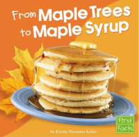 From_maple_trees_to_maple_syrup