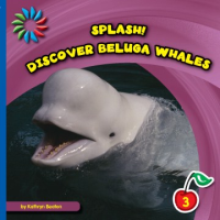 Discover_Beluga_whales