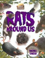 Rats_around_us