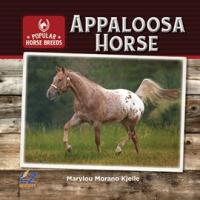 Appaloosa_Horse