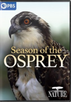 Season_of_the_osprey