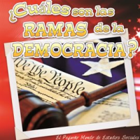 __Cu__les_son_las_ramas_de_la_democracia_