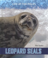 Leopard_seals