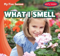 What_I_Smell