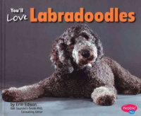 You_ll_love_Labradoodles