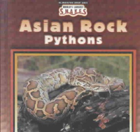 World_s_largest_snakes___Asian_rock_pythons
