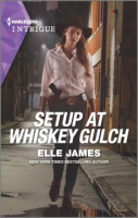 Setup_at_Whiskey_Gulch