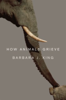 How_animals_grieve