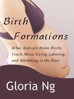 Birth_Formations__What_Multiple_Home_Births_Teach_About_Living__Laboring__and_Mothering_in_the_Now