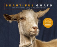 Beautiful_Goats