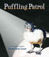 Puffling_patrol