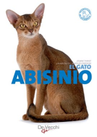 El_gato_Abisinio
