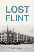Lost_Flint