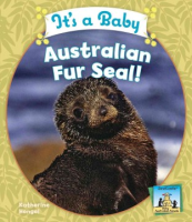 It_s_a_baby_Australian_fur_seal_