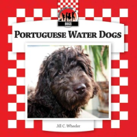 Portuguese_water_dogs