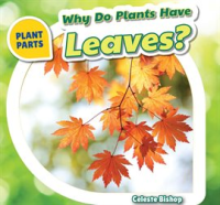 Why_Do_Plants_Have_Leaves_