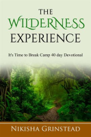 The_Wilderness_Experience_It_s_Time_to_Break_Camp_40_Day_Devotional