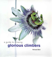 A_guide_to_growing_glorious_climbers