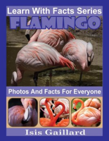 Flamingo_Photos_and_Facts_for_Everyone