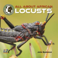 All_About_African_Locusts
