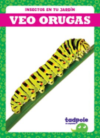 Veo_orugas__I_See_Caterpillars_