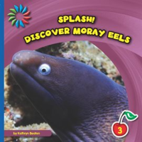 Discover_Moray_Eels