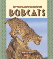 Pouncing_bobcats