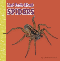 Fast_facts_about_spiders