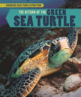 The_return_of_the_green_sea_turtle