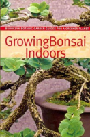 Growing_bonsai_indoors