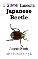 Japanese_Beetle