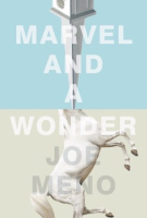 Marvel_and_a_wonder